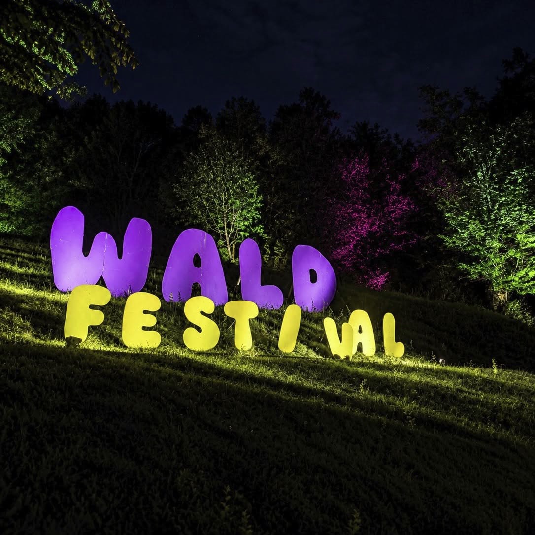 Leuchtende Buchstaben Wald Festival auf einer Wiese vor angestrahlten Bäumen